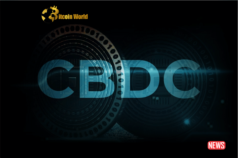 CBDCs: A Key Asset for the Worldwide Economy or a Major Threat to Financial Stability0