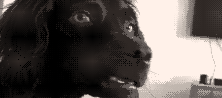 Concerns About USDT Reliability Emerge Among S&P 500 Index Curators0