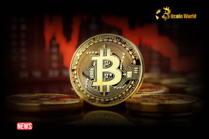Crypto Expert Cautions That Bitcoin May Drop to $42,000 Under Certain Conditions0