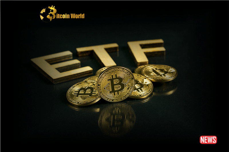 Crypto Market Rises Following Bitcoin ETF Success and NFT Dispute Boosting Asian Growth0