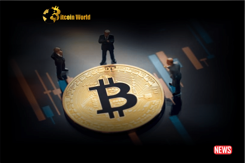 Cryptocurrency Market Faces Varied Results as BTC Approaches $30,0000