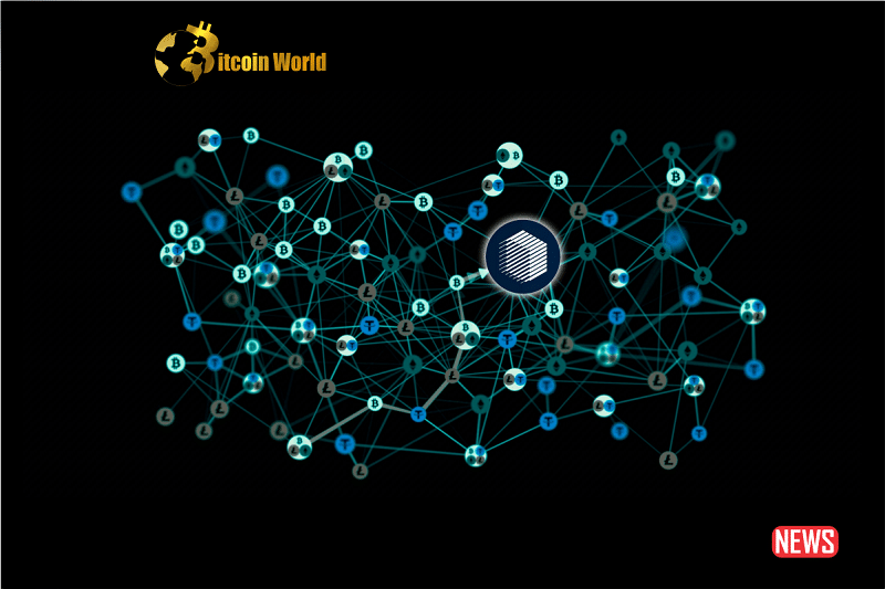 Cybercriminals Change Strategies: Cross-Chain Bridges Surpass Crypto Mixers in Money Laundering Activities0