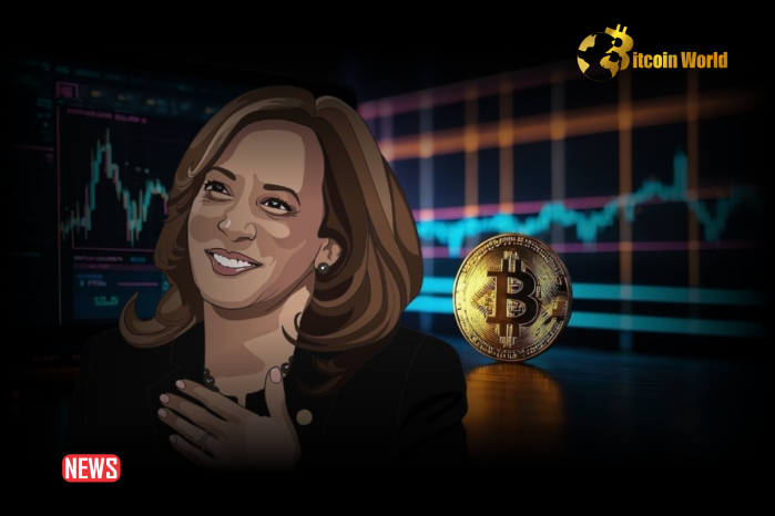 Democratic Party's Updated Approach: 'Crypto for Harris' Initiative Targets Digital Asset Supporters and Blockchain Governance0