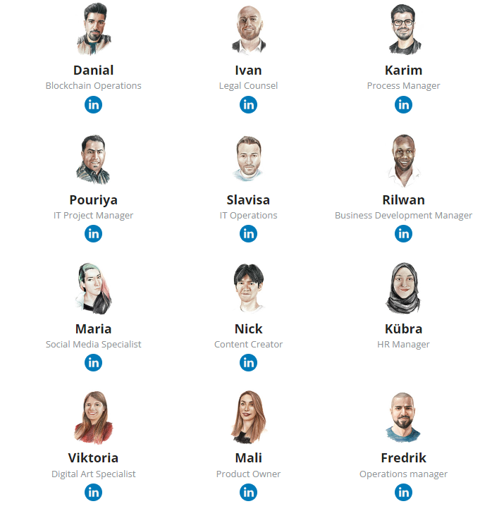 Disaster or deception? An examination of the downfall of a 'philanthropic' NFT initiative8