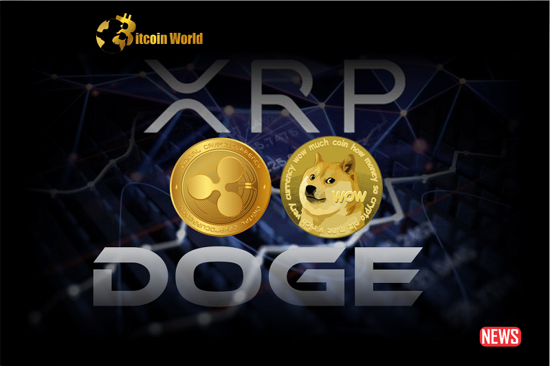 End of OpenSea's Operator Filter: A Change in the NFT Royalties Framework0