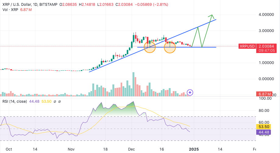 Fox Host Criticizes XRP Advocates – Significant Online Response Follows0