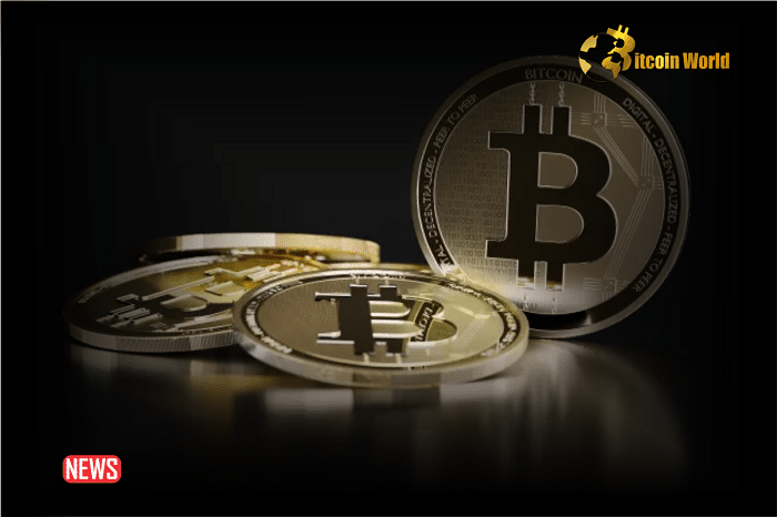 Here Are 10 Companies Holding the Most Significant Bitcoin Assets0