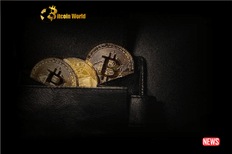 Inactive Bitcoin from 2023 Reemerges in Significant Transactions0