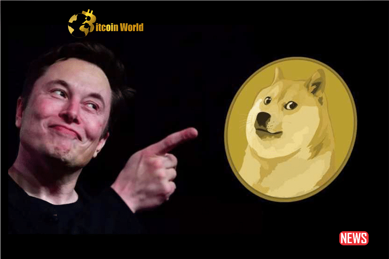Is Elon Musk the Hidden Influencer Behind Dogecoin? Exploring the Billionaire’s Unseen Connections to DOGE0