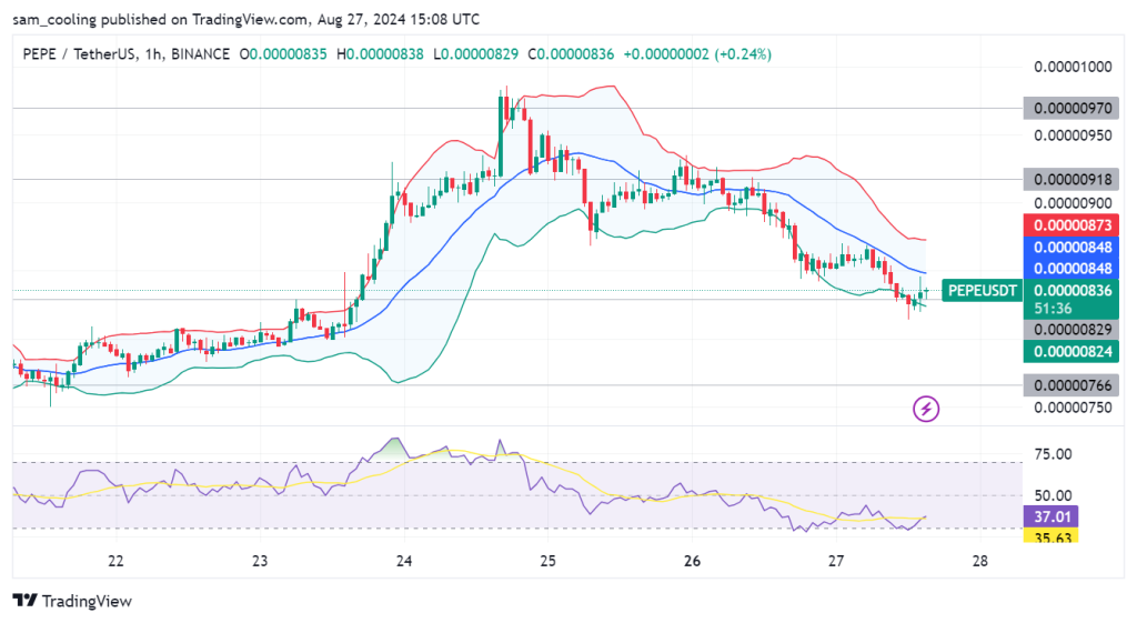 Is PEPE Heading Towards Zero? Price Drops 5% in 24 Hours, While a New Crypto Initiative Captures Investor Interest1
