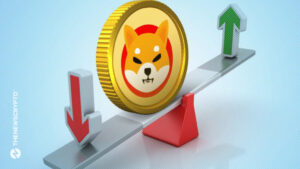 Is the 2 Billion Token Burn of Shiba Inu (SHIB) Questionable? An Examination of the Details0