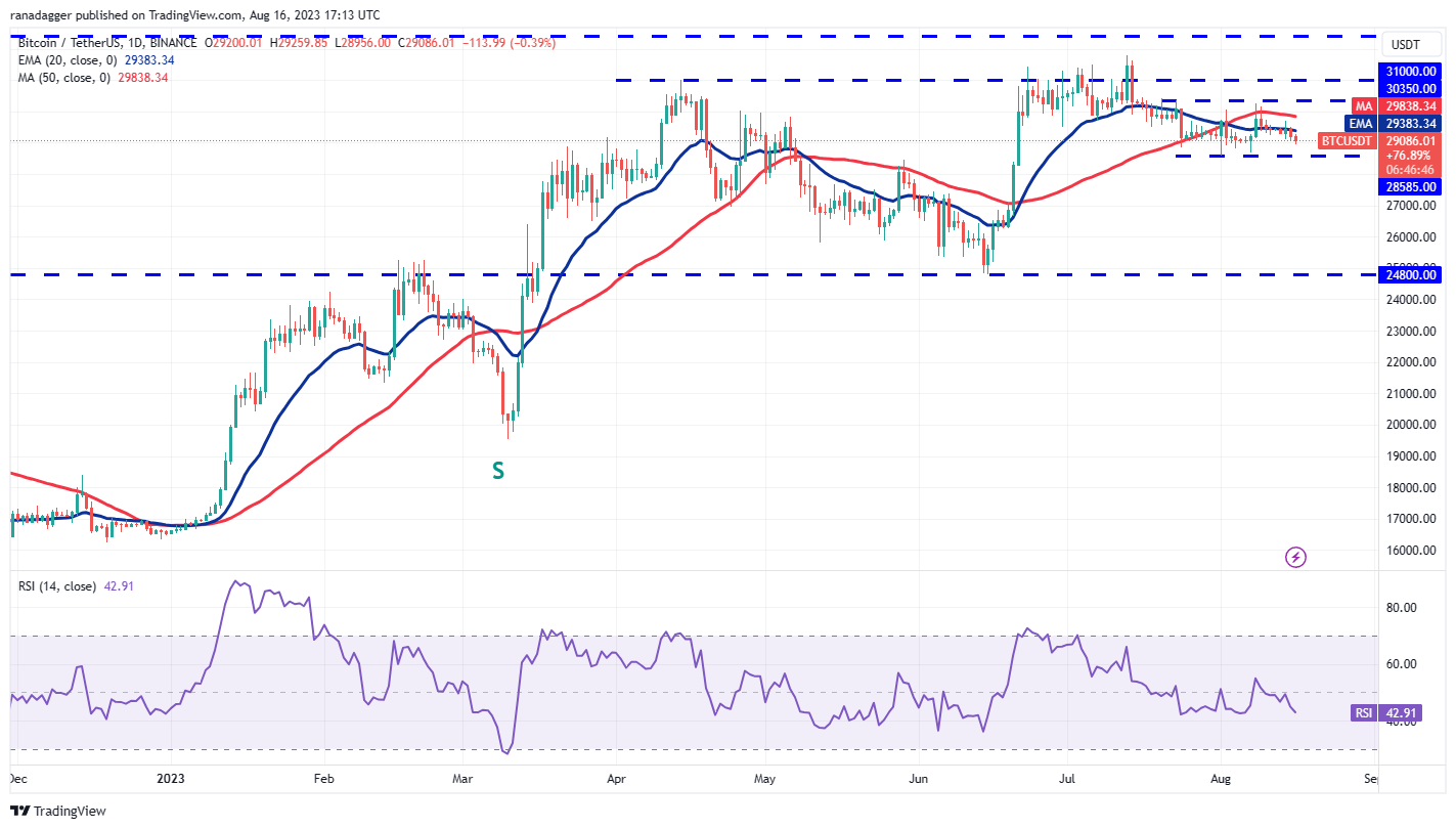Market Overview 8/16: BTC, ETH, BNB, XRP, DOGE, ADA, SOL, MATIC, LTC, DOT1