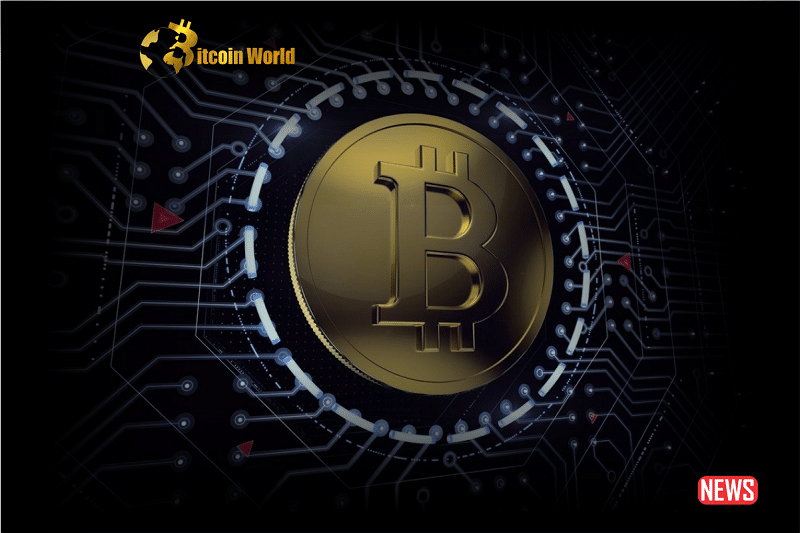 New Investors Contribute to Growing Decentralization of Bitcoin Ownership0