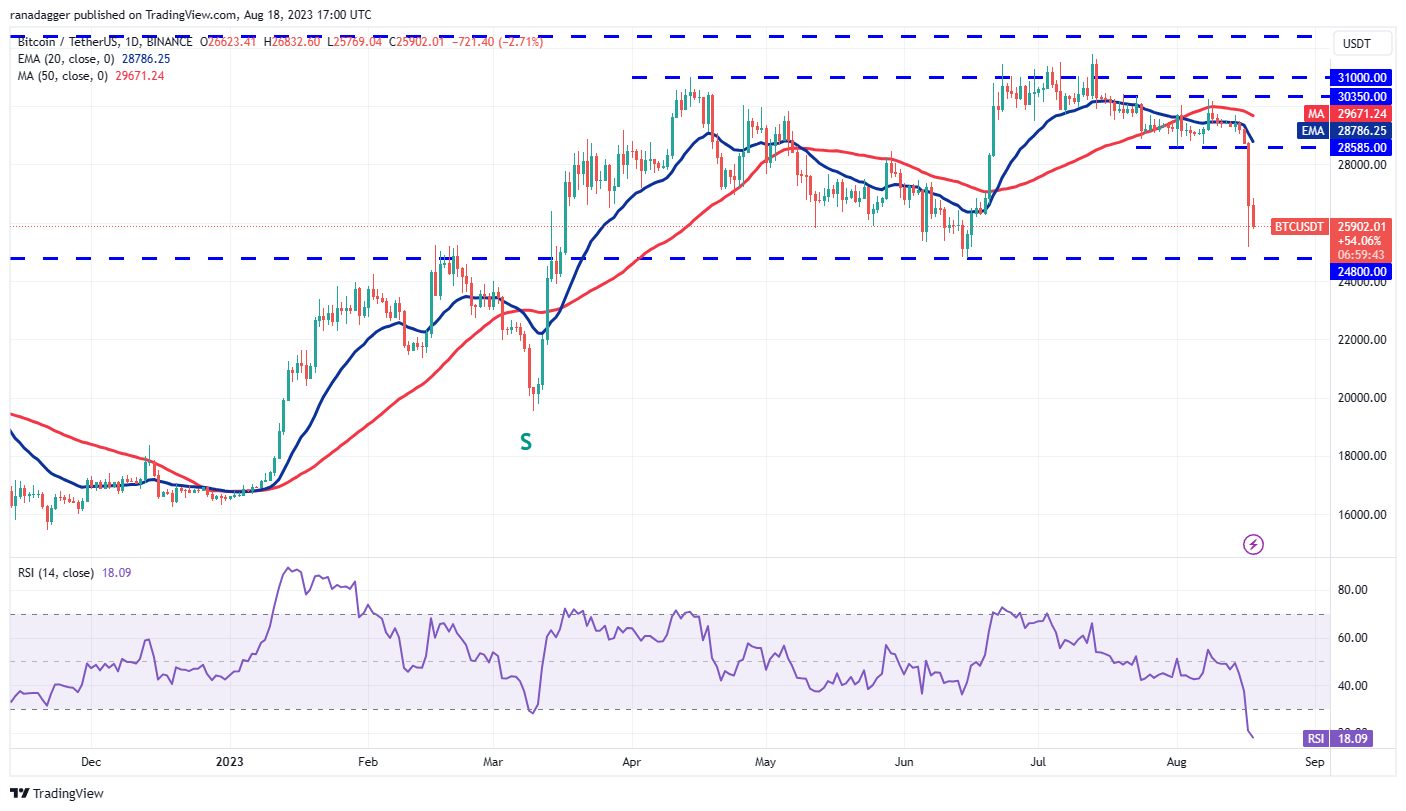 Price Overview 8/18: BTC, ETH, BNB, XRP, ADA, SOL, DOGE, DOT, MATIC, LTC1