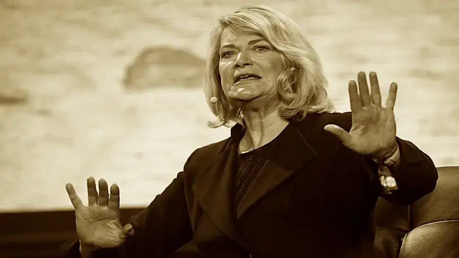 Сенатор пообещала защитить крипторазработчиков от судебных преследований Сенатор пообещала защитить крипторазработчиков от судебных преследований0