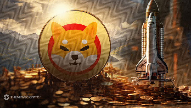 Shiba Inu Outflows Surge by 923% Overnight as Price Stabilizes0
