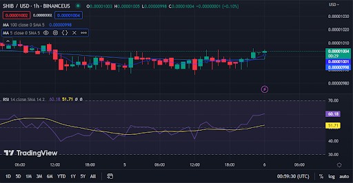 Shiba Inu's Ongoing Trends: Will They Enhance Market Rally?4