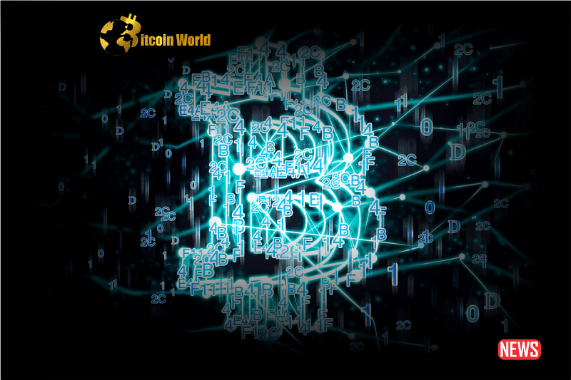 Shifting Attention in Cryptocurrency: The Importance of Smart Contracts Over Token Valuations0