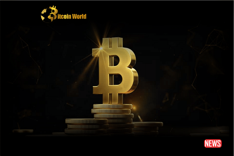 Should you possess Bitcoin, considering the increasing acceptance of digital currencies?0