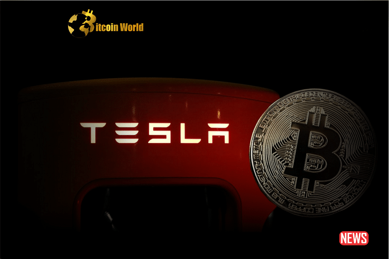 Tesla Retains $184 Million in Bitcoin but Suspends Additional Transactions0