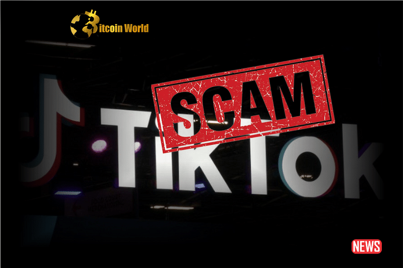 TikTok Becomes a Platform for Cryptocurrency Fraud Schemes0