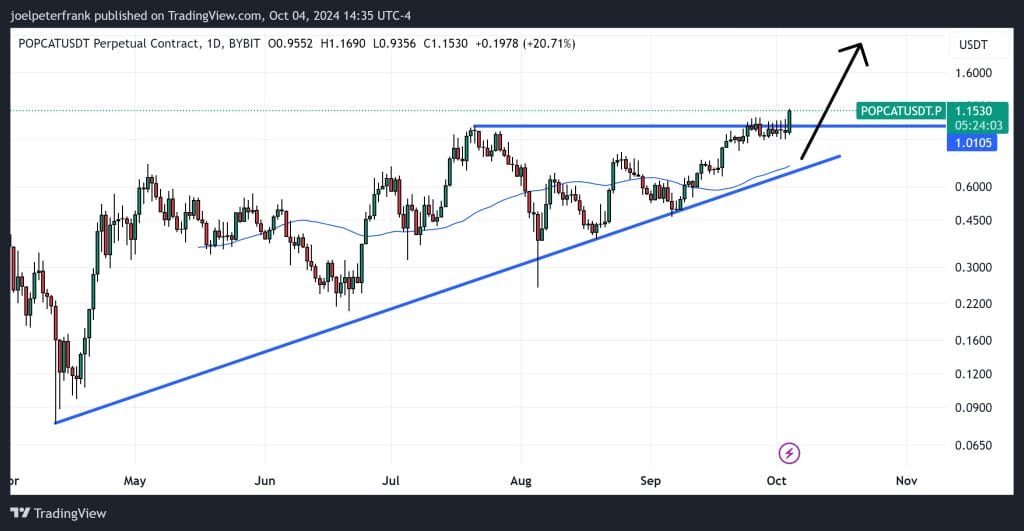 Top Cryptocurrencies to Consider Acquiring on October 4 – Popcat, Beam, BitTensor0