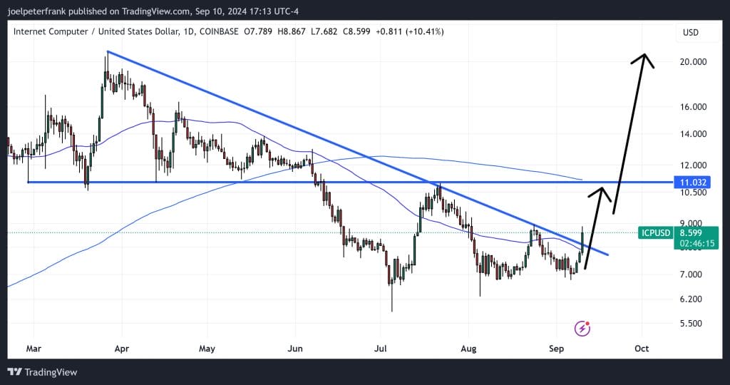 Top Cryptocurrencies to Consider Purchasing on September 10 – ICP, FET, BSV3