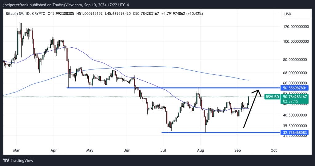 Top Cryptocurrencies to Consider Purchasing on September 10 – ICP, FET, BSV6