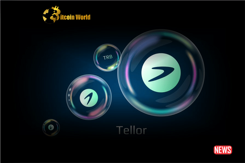 TRB surges by 270% as large investors accumulate: What are the developments?0