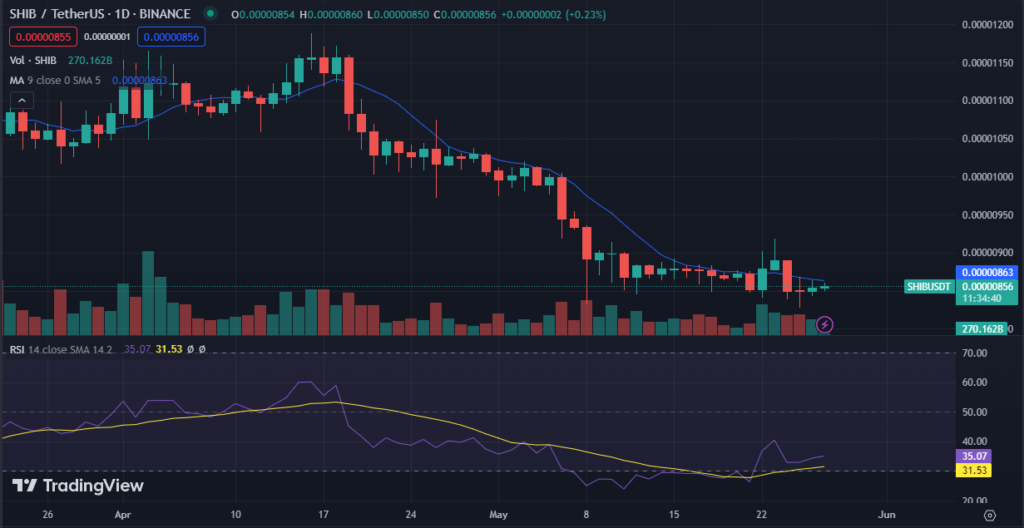 What Trend Will SHIB Follow in the Upcoming Week—Upward or Downward?1