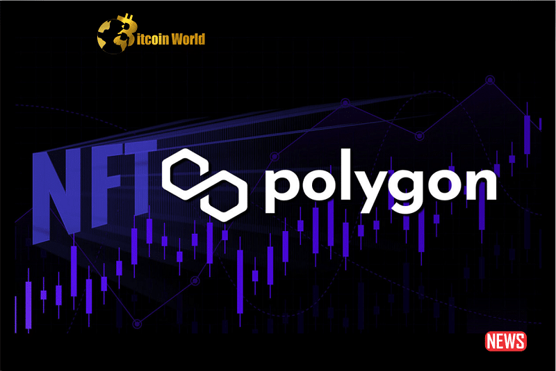 Will the Expansion of Polygon's NFTs Boost MATIC?0