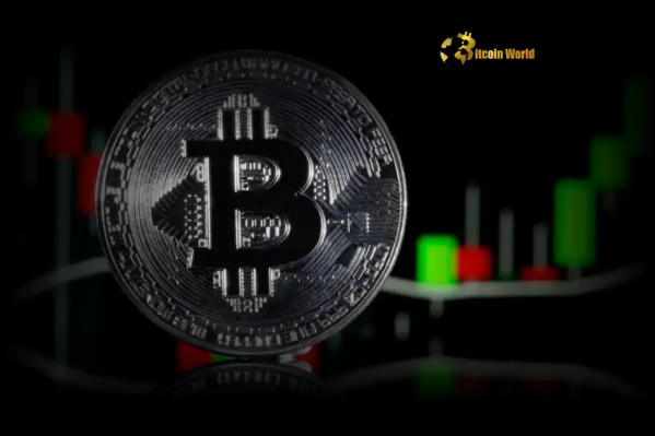 Willy Woo Issues Important Warning on Bearish Divergence for Bitcoin Price Forecast0