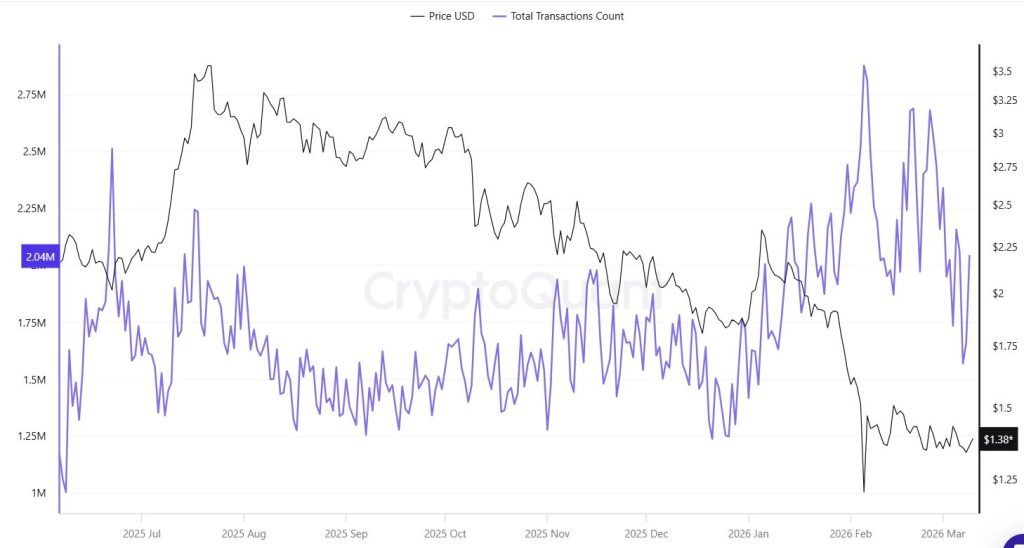 XRP Ledger Surpasses 2.7 Million Transactions – Is a $100 XRP Price Possible with Institutional Support?0