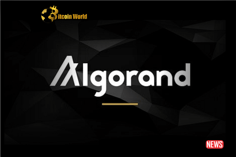 Algorand might generate excitement, but will ALGO investors engage with the enthusiasm?0