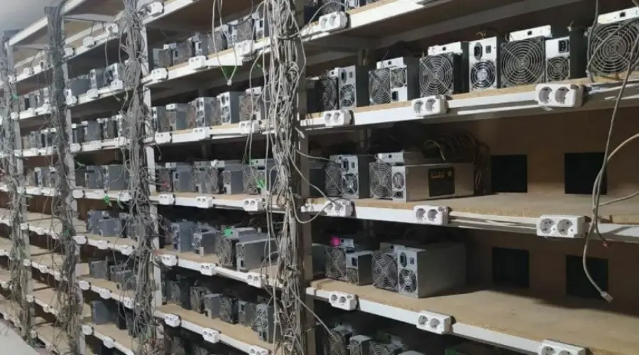 Illegal mining farm discovered in Russia at an agricultural enterprise0