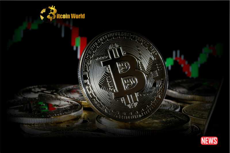 Analyst Willy Woo Indicates Potential Price Squeeze for Bitcoin, Suggesting Possible Surge0