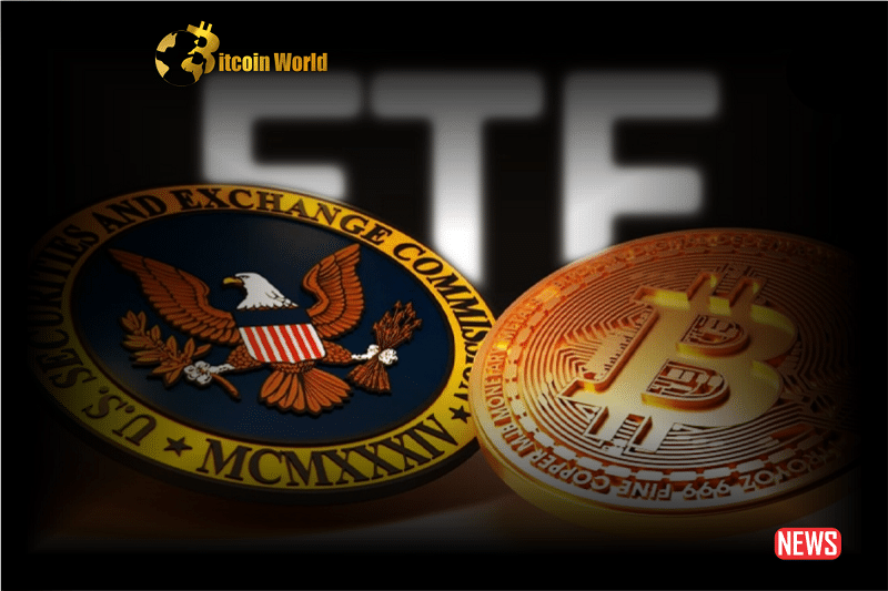 Bipartisan Support for Bitcoin ETF Authorization Increases Following SEC Hearing0
