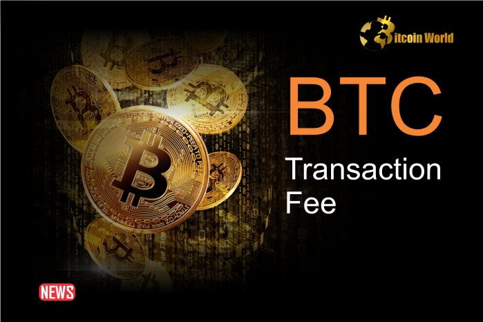 Bitcoin (BTC) Transaction Fees Surge Unexpectedly: Here's the Reason0