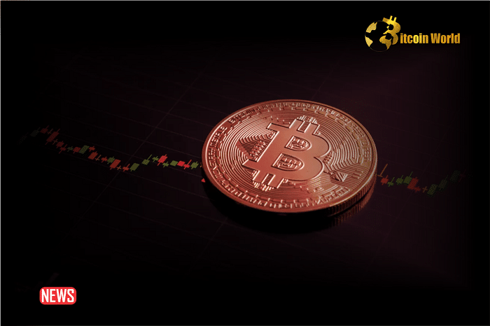 Bitcoin Nears Its All-Time High of $69,000; Is It Time to Invest in BTC-Related Ventures?0