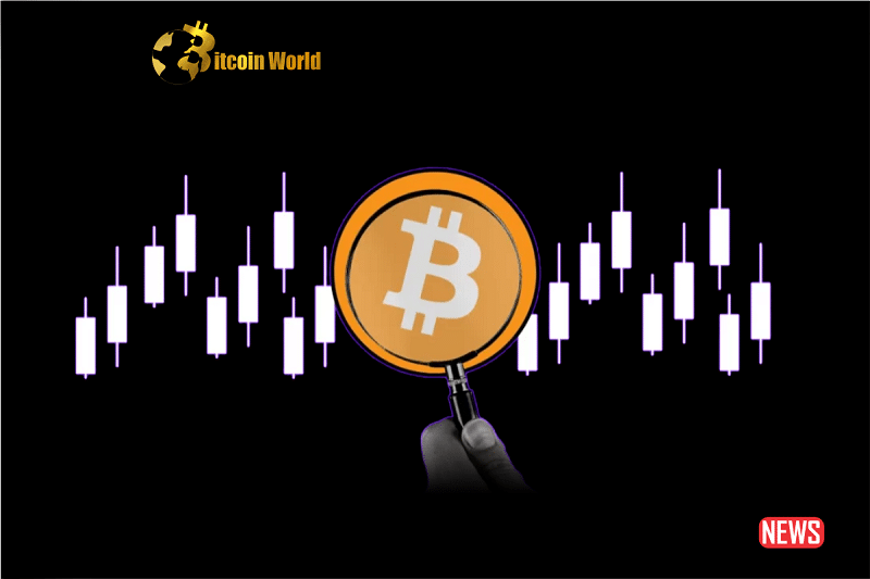 Bitcoin Prepares for a Positive October? Expert Opinions Offer Significant Insights0