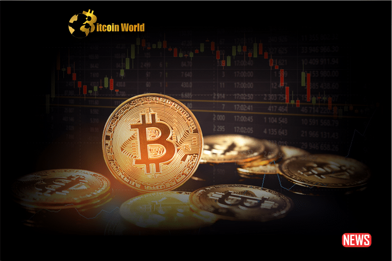 Bitcoin Sees Slight Increase as Interest Revives and NFT Activity Grows0