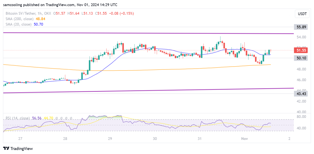 Bitcoin SV Experiences Significant Inflows – Is This the Beginning of a Year-End Surge?3