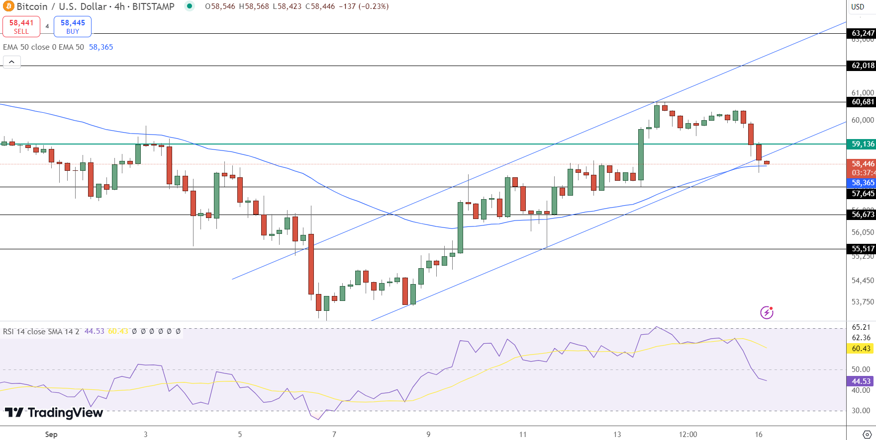 Bitcoin Value Rises to $58,000 as Rich Dad Poor Dad Writer Anticipates Additional Increases1