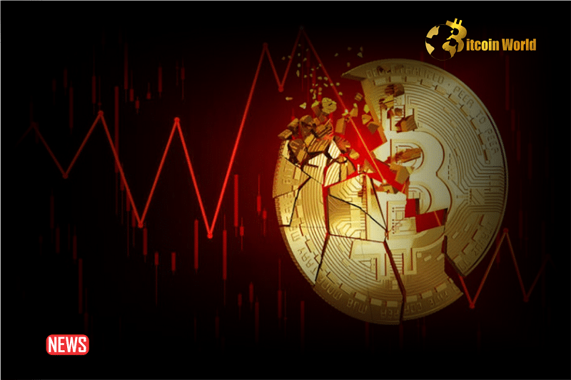 BTC Approaches $41k as US SEC Expected to Deny All Spot BTC ETF Applications in January0