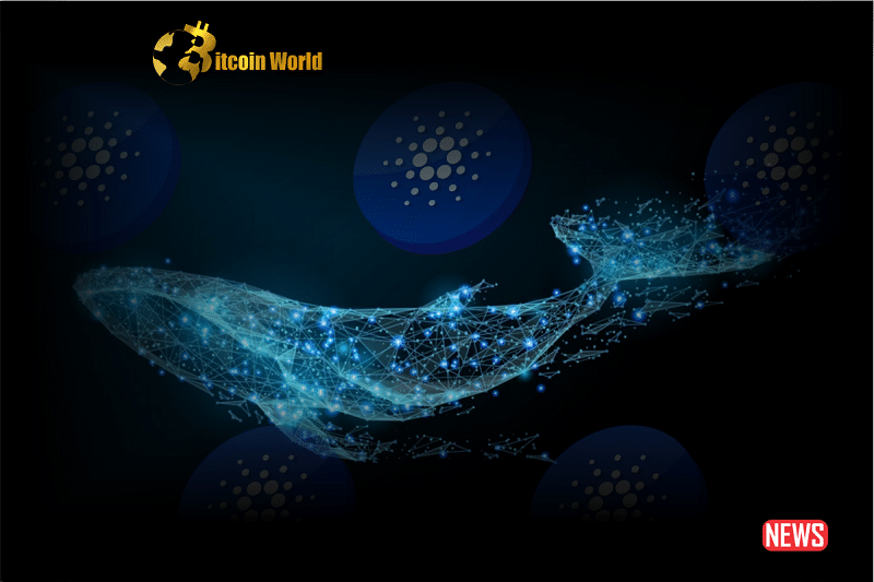 Cardano Whales Increasingly Accumulating, Is an ADA Price Surge Ahead?0