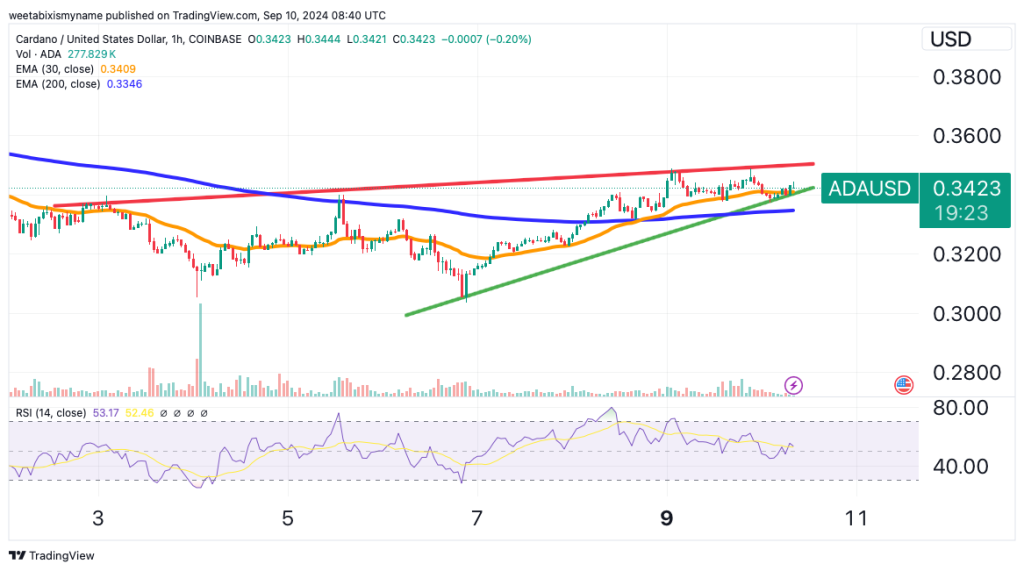 Cardano's On-Chain Indicators Surge in August – Is a Breakthrough Imminent?0