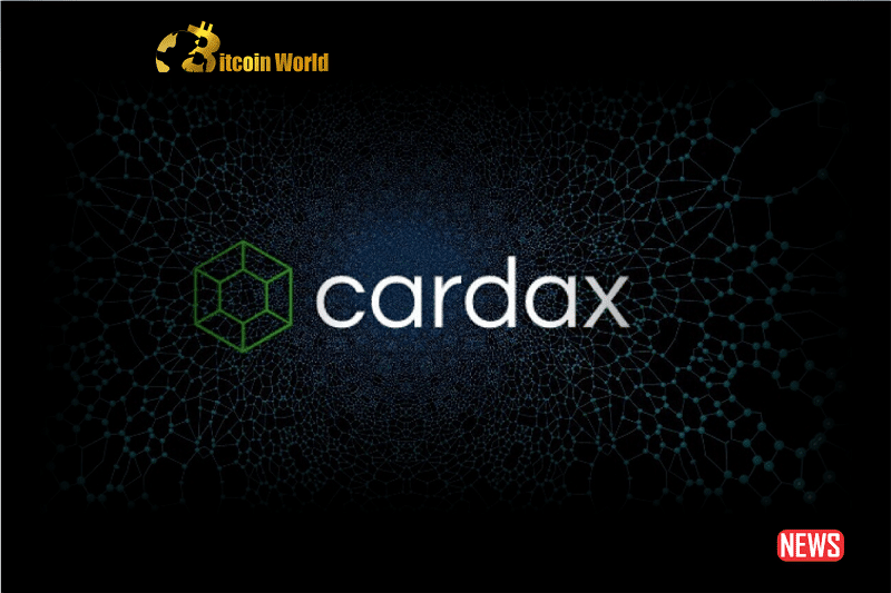 Cardano's Outlook in Doubt Following Closure of Cardax Exchange0