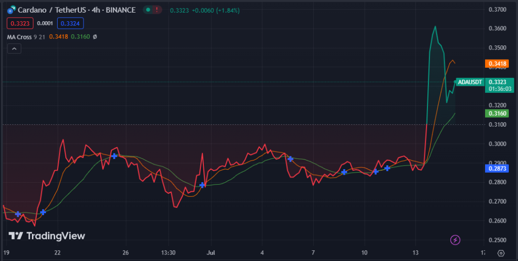 Could Solana's Recent Increase Enable SOL to Surpass Cardano (ADA)?3