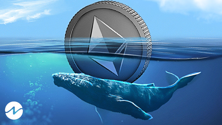 Crypto Investor Preserves Millions by Liquidating Ethereum Prior to Market Decline0