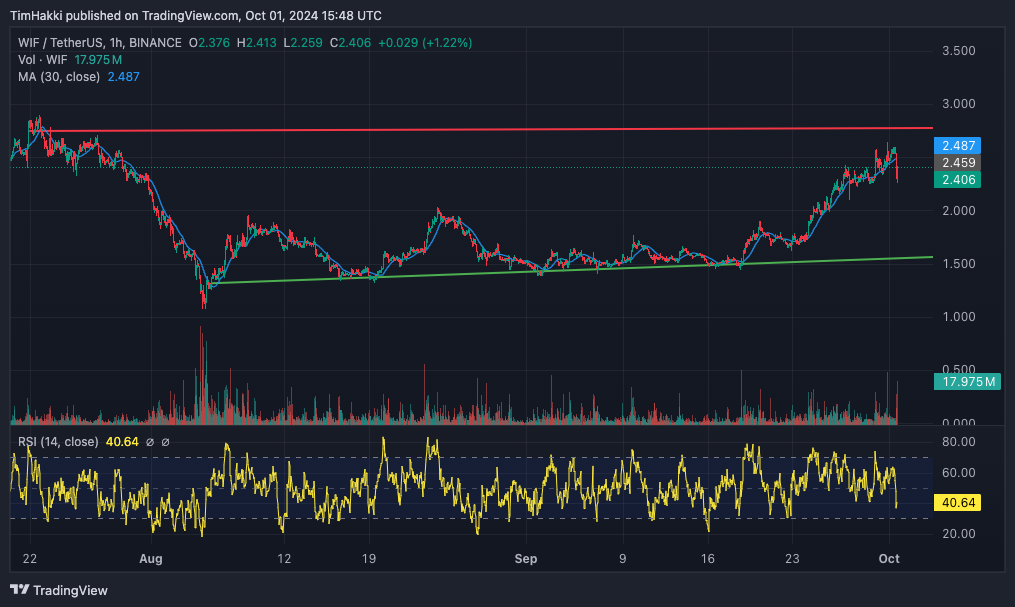 Crypto Whales Acquire Dogwifhat Amid Market Decline Alongside New Meme Coin0